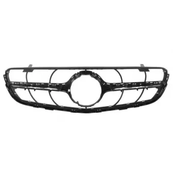 Grille de radiateur BLIC 5601-00-3533990PP