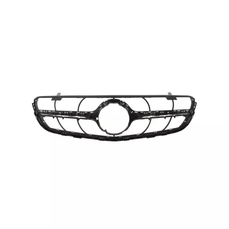 Grille de radiateur BLIC 5601-00-3533990PP