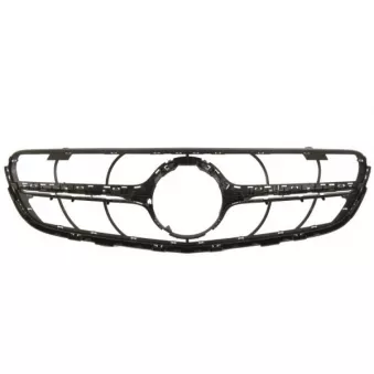 Grille de radiateur BLIC 5601-00-3533991PP