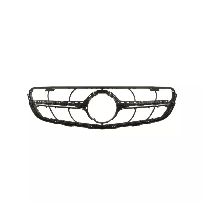 Grille de radiateur BLIC 5601-00-3533991PP