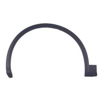 Baguette et bande protectrice, aile avant gauche BLIC 5703-04-0036421SP