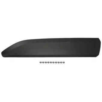 Baguette et bande protectrice, porte avant gauche BLIC 5703-04-0554571P