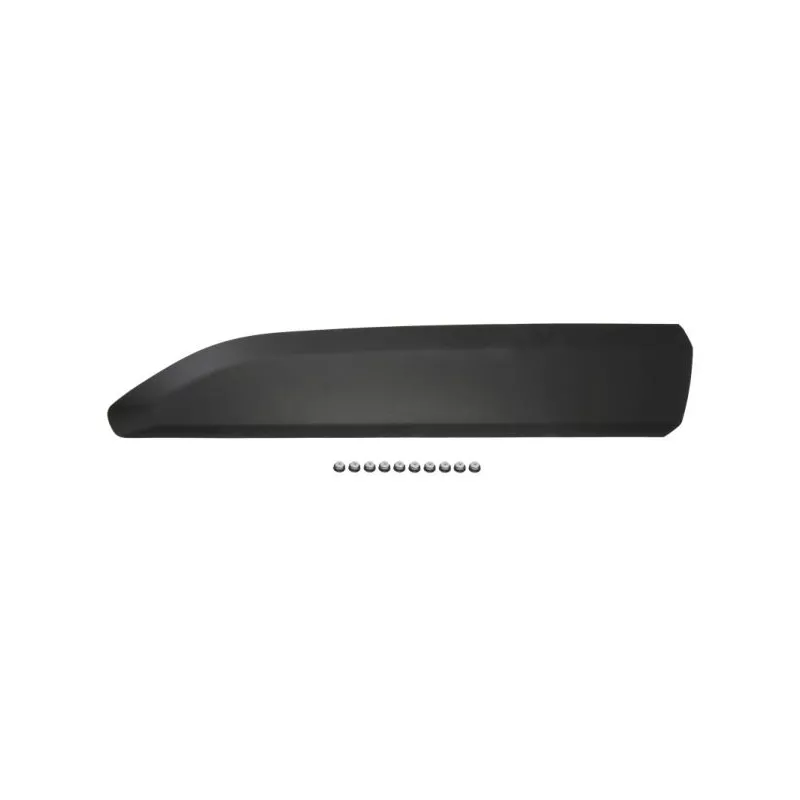 Baguette et bande protectrice, porte avant gauche BLIC 5703-04-0554571P