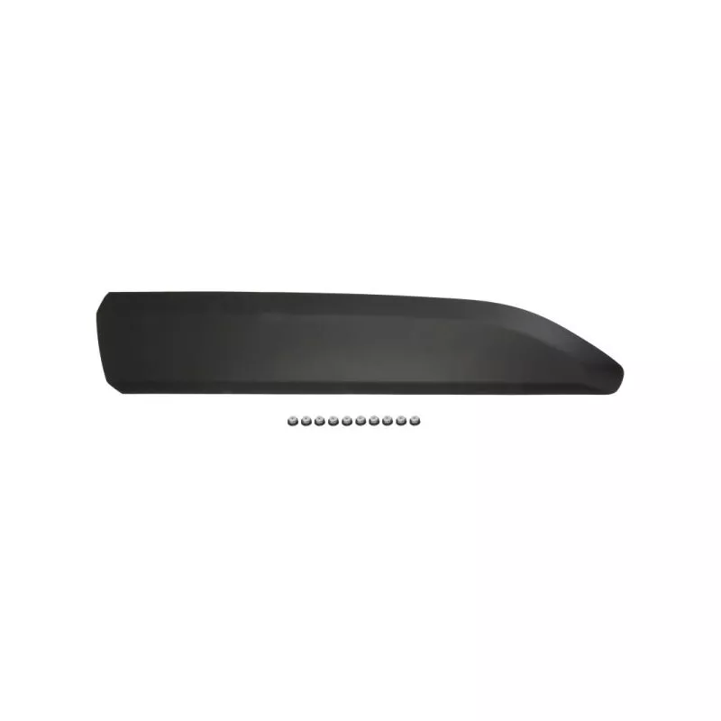Baguette et bande protectrice, porte arrière droit BLIC 5703-04-0554572P
