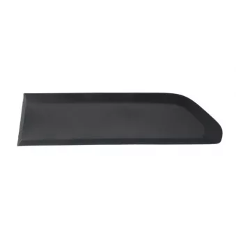Baguette et bande protectrice, porte arrière gauche BLIC 5703-04-0554573P