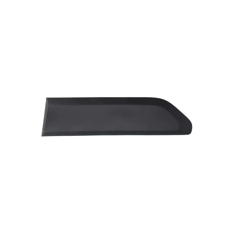Baguette et bande protectrice, porte arrière gauche BLIC 5703-04-0554573P