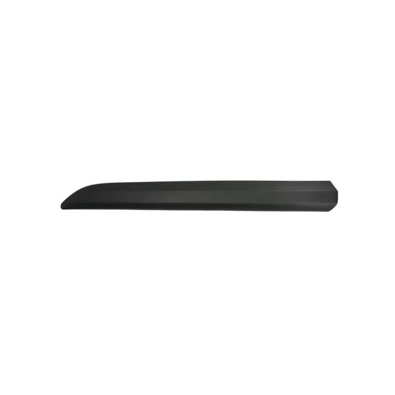 Baguette et bande protectrice, porte avant gauche BLIC 5703-04-0559571P