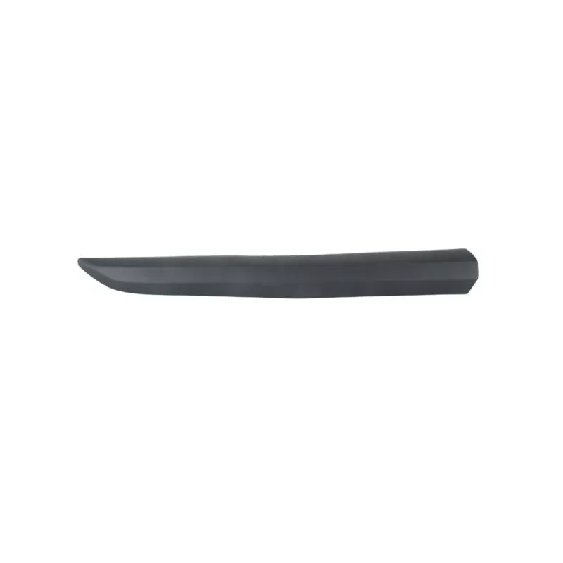 Baguette et bande protectrice, porte avant droit BLIC 5703-04-0559572P