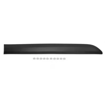 Baguette et bande protectrice, porte arrière gauche BLIC 5703-04-0559573P