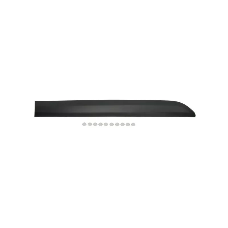 Baguette et bande protectrice, porte arrière gauche BLIC 5703-04-0559573P