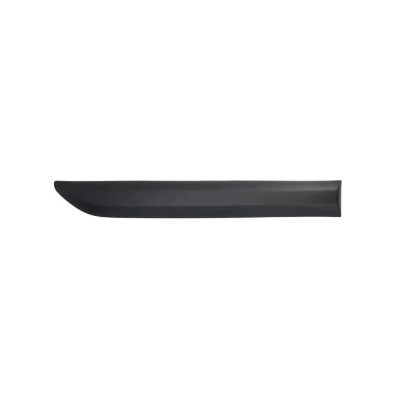 Baguette et bande protectrice, porte avant gauche BLIC 5703-04-0559575P