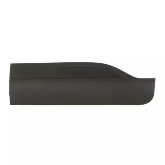 Baguette et bande protectrice, porte avant gauche BLIC 5703-04-2596573P