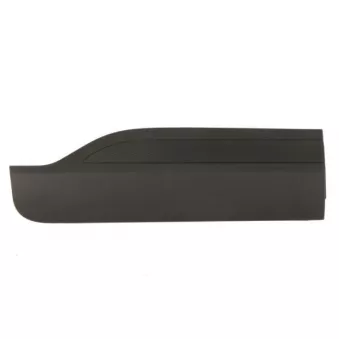 Baguette et bande protectrice, porte avant droit BLIC 5703-04-2596574P