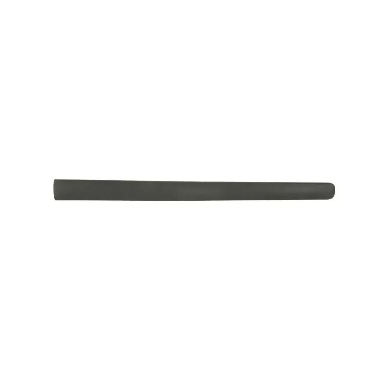 Baguette et bande protectrice, porte avant droit BLIC 5703-04-3125572P