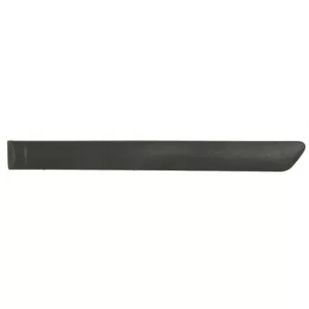 Baguette et bande protectrice, porte arrière gauche BLIC