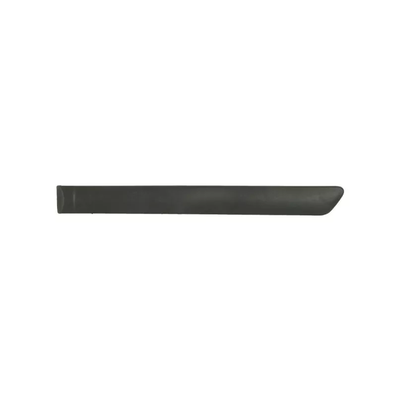 Baguette et bande protectrice, porte arrière gauche BLIC 5703-04-3125573P
