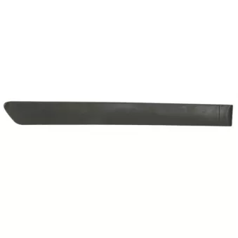 Baguette et bande protectrice, porte arrière droit BLIC
