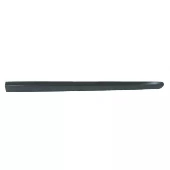 Baguette et bande protectrice, aile avant droit BLIC 5703-04-5519572P