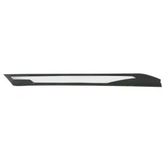 Baguette et bande protectrice, aile avant gauche BLIC 5703-04-5547423P