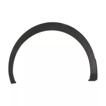Baguette et bande protectrice, aile avant droit BLIC 5703-04-5549572P