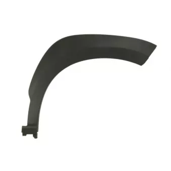 Baguette et bande protectrice, aile avant droit BLIC 5703-04-9080422Q