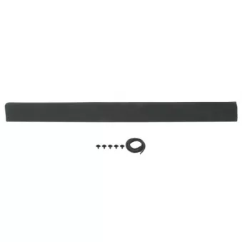 Baguette et bande protectrice, porte avant droit BLIC 5703-04-9537574P