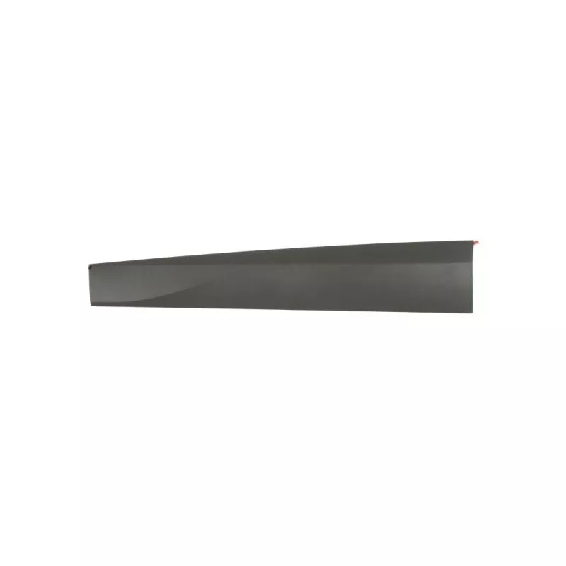 Baguette et bande protectrice, porte avant gauche BLIC 5703-04-9584571P