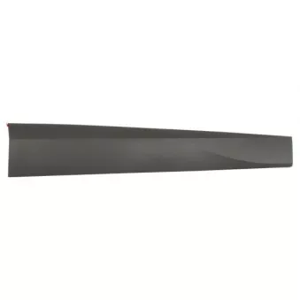 Baguette et bande protectrice, porte avant droit BLIC 5703-04-9584572P
