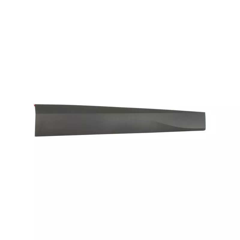 Baguette et bande protectrice, porte avant droit BLIC 5703-04-9584572P