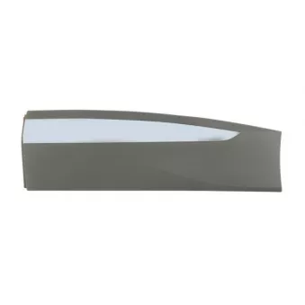 Baguette et bande protectrice, porte avant gauche BLIC 5703-04-9584573P