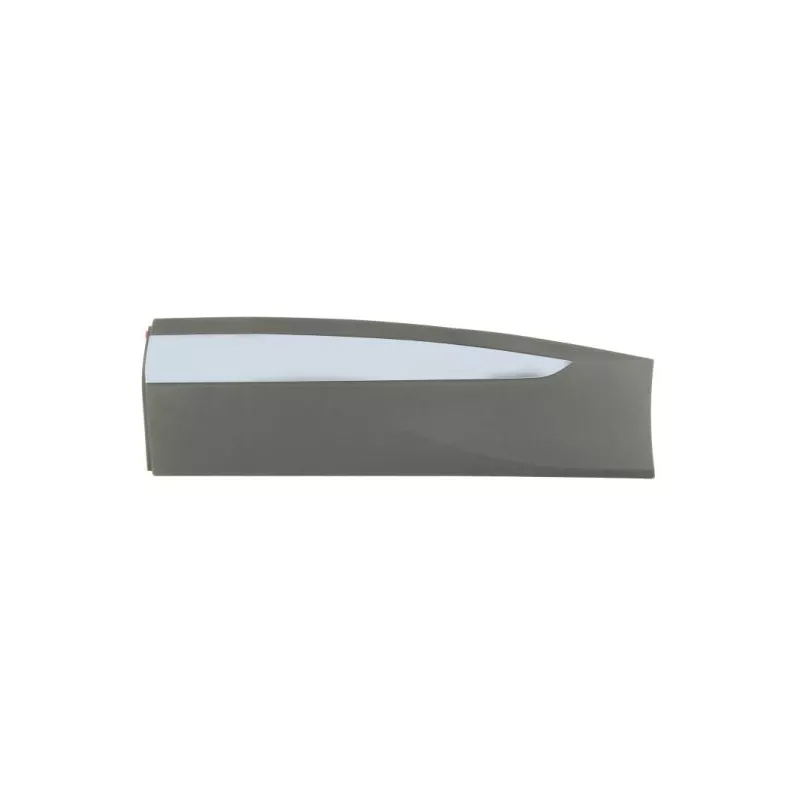 Baguette et bande protectrice, porte avant gauche BLIC 5703-04-9584573P