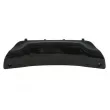 Grille de ventilation, pare-chocs BLIC 5703-05-3206982P - Visuel 1