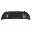 Grille de ventilation, pare-chocs BLIC 5703-05-3206982P - Visuel 2