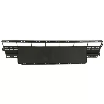 Support de plaque d'immatriculation BLIC 5703-05-9579920P