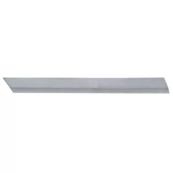 Baguette et bande protectrice, pare-chocs avant gauche BLIC 5703-05-9579924P