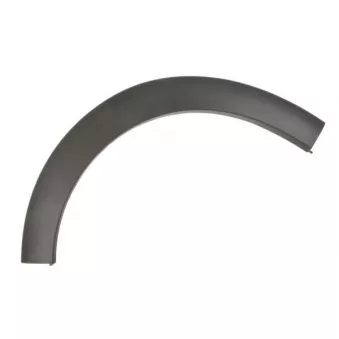Baguette et bande protectrice, aile avant gauche BLIC 5703-08-0532371Q