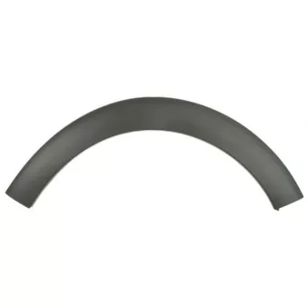 Baguette et bande protectrice, aile avant droit BLIC 5703-08-0532372Q