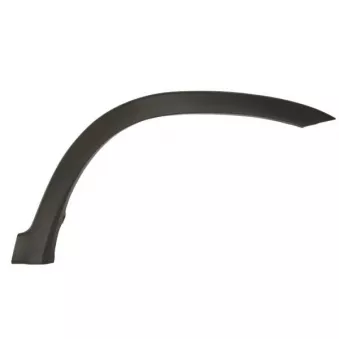 Baguette et bande protectrice, aile avant droit BLIC 5703-08-2956376P