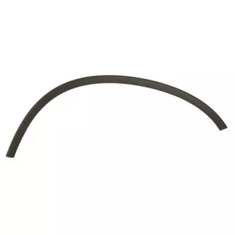 Baguette et bande protectrice, aile avant droit BLIC 5703-08-2957372P
