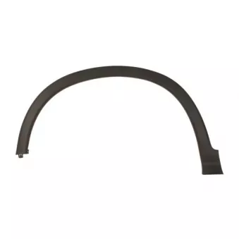 Baguette et bande protectrice, aile avant gauche BLIC 5703-08-2958371P