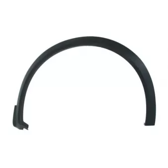Baguette et bande protectrice, aile avant droit BLIC 5703-08-6013372P