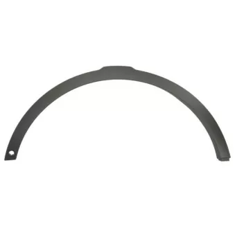 Baguette et bande protectrice, aile avant gauche BLIC 5703-08-6456375P
