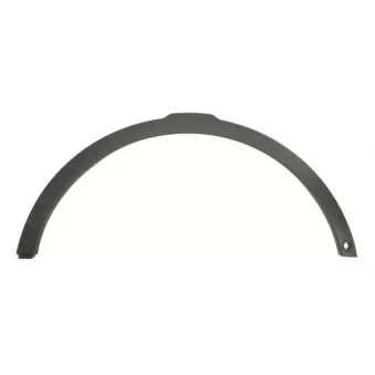 Baguette et bande protectrice, aile avant droit BLIC 5703-08-6456376P