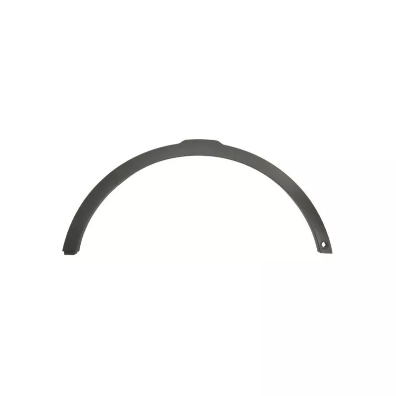 Baguette et bande protectrice, aile avant droit BLIC 5703-08-6456376P