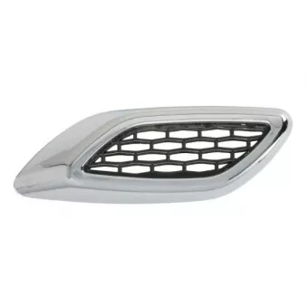 Baguette et bande protectrice, aile avant droit BLIC 5703-08-6902378P