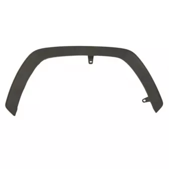 Baguette et bande protectrice, aile avant droit BLIC 5703-08-8186372P