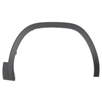 Baguette et bande protectrice, aile avant droit BLIC