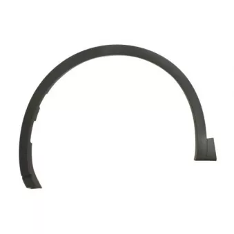 Baguette et bande protectrice, aile avant gauche BLIC