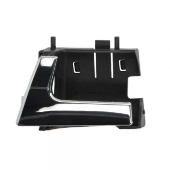 Poignet de porte, équipment intérieur avant gauche BLIC 6010-01-009409PP