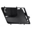 Poignet de porte, équipment intérieur avant droit BLIC 6010-01-031408P - Visuel 1